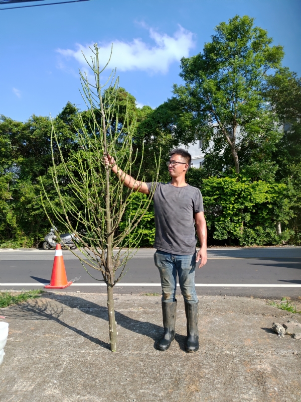 jeff的第二张照片--福安征婚网