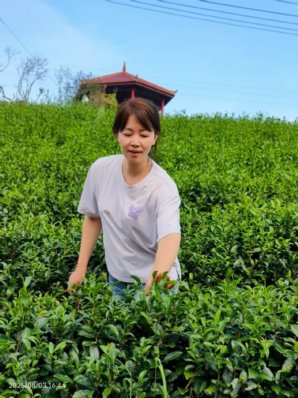 Q绮芳的第一张照片--福安征婚网